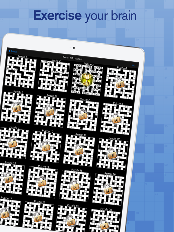 Crossword screenshot