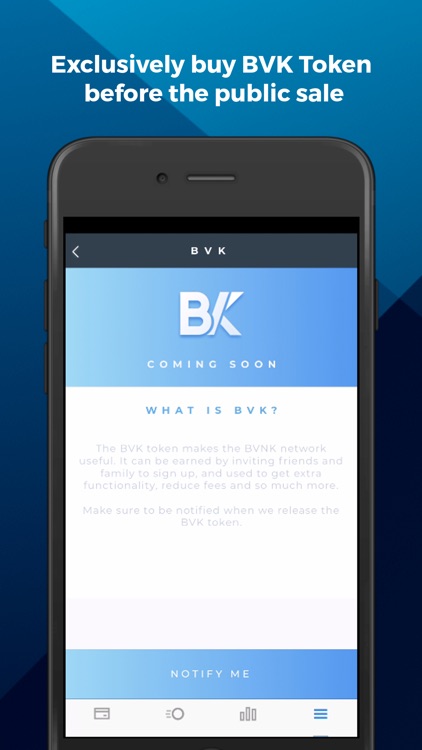 BVNK screenshot-8