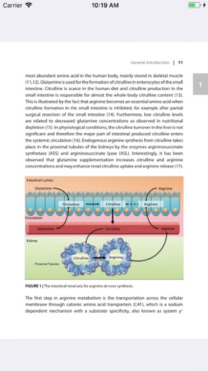 PhD Buijs(圖2)-速報App