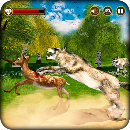 Wolf Simulator: Animal Hunting by Ali Murad