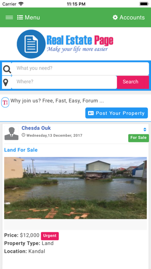 Real Estate Page