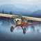 Airplane Fly Bush Pilot