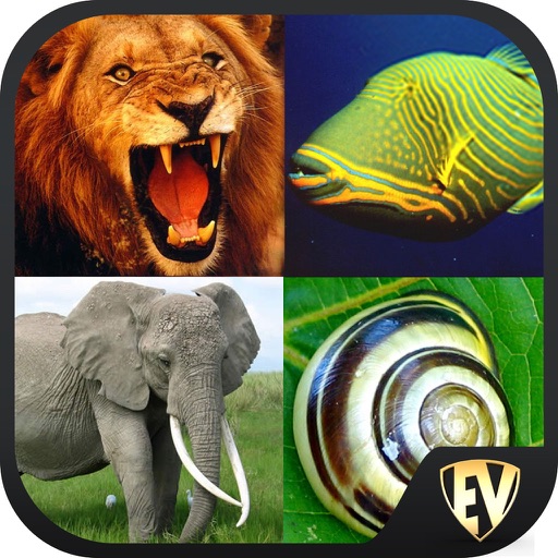 Animals Encyclopedia Guide iOS App
