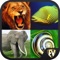 Icon Animals Encyclopedia Guide