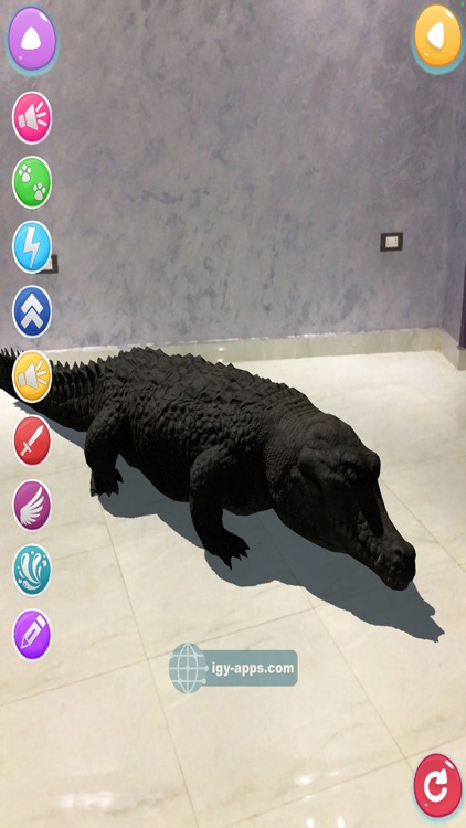 AR for Kids Animals Dinosaurs screenshot-7