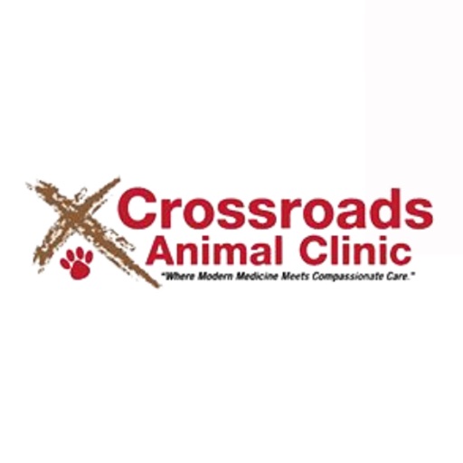 Crossroads Animal Clinic