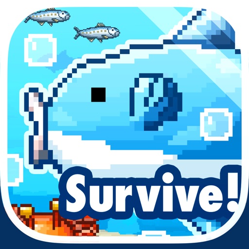 Survive! Mola Mola!