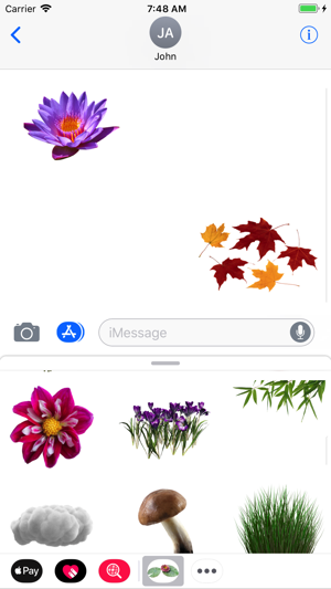 Best Nature Stickers