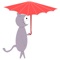 Cat has forgotten its umbrella