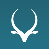 Antilope pour PC