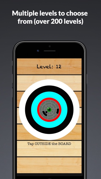 Hitting the bullseye : Full screenshot-3