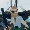 Pirates: 3D