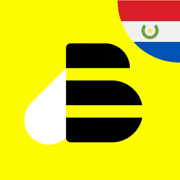 BEES Paraguay