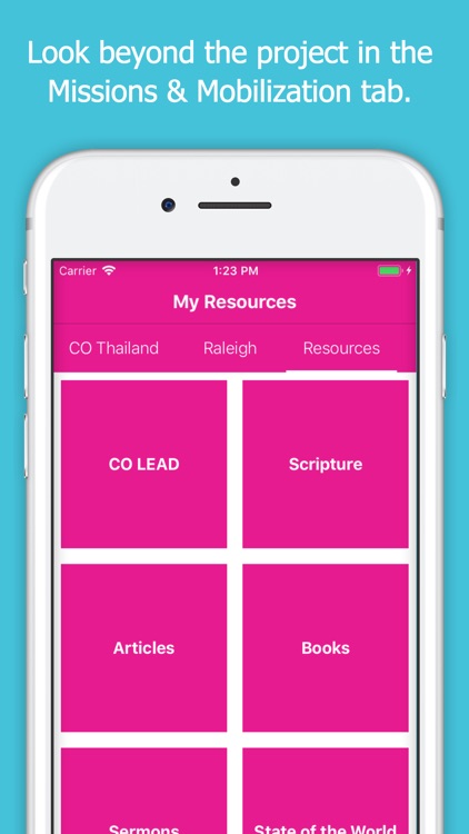 CO Summer Orlando Project