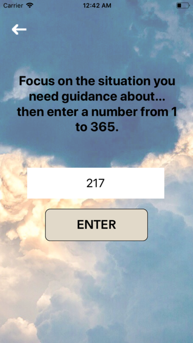 Number Oracle screenshot 2