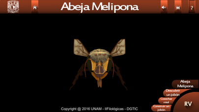 How to cancel & delete Abejas mayas from iphone & ipad 2