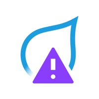 IBM Dashboard Visualization