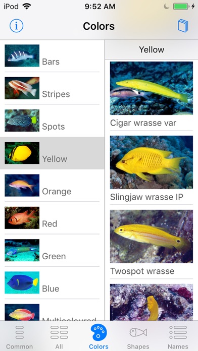 Red Sea Fish ID screenshot 4