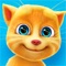 Little Talking Ginger needs your help