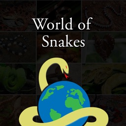 Amazing World Of Snakes