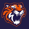 Tigres de Quintana Roo