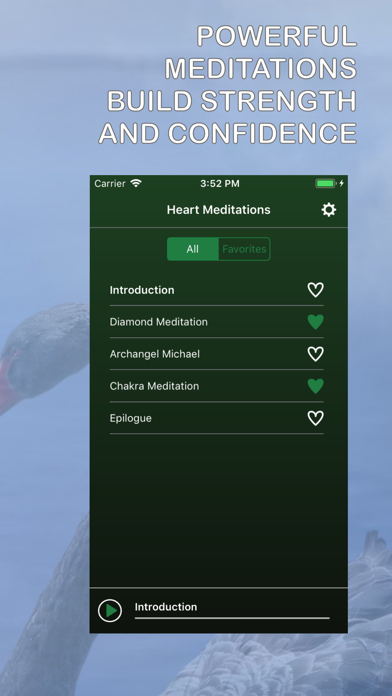 Heart Meditations screenshot 3