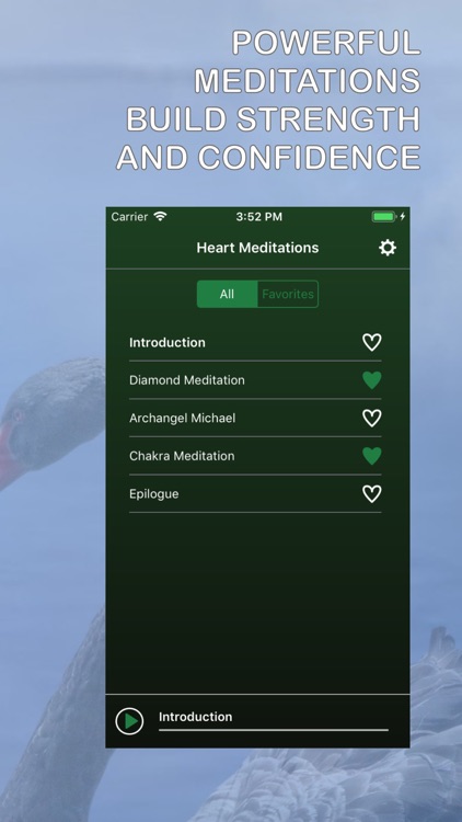 Heart Meditations