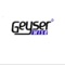 Geyserwise Mobile application provides you full access to your online