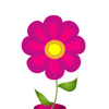 no app image