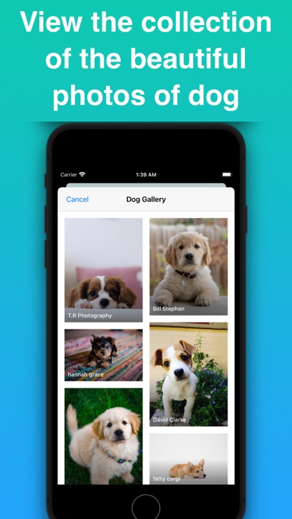 Dog Identifier - Puppy Scanner screenshot-6