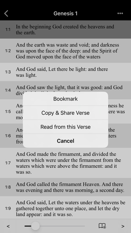 Bible-Simple Bible(ASV) screenshot-3