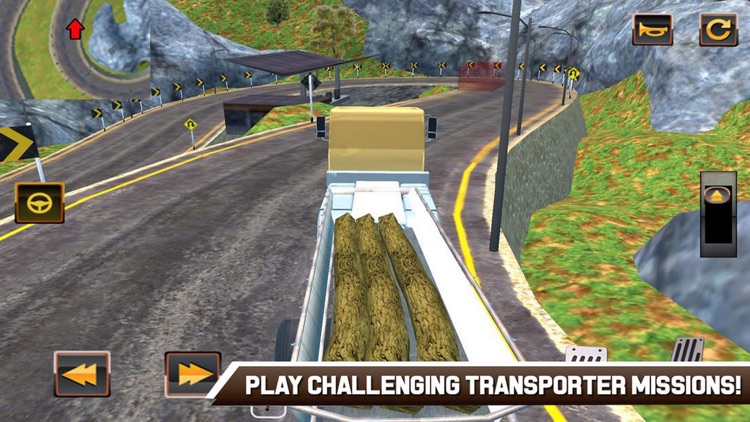 Transporter Euro Truck Car 18