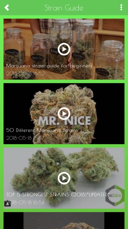 Medical Marijuana Guide + Quiz