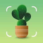 Plant Identifier - Leaf Snap