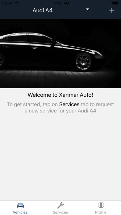 Xanmar Auto screenshot 2