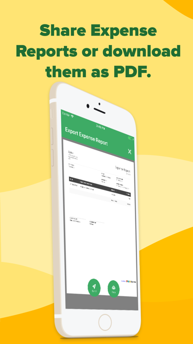 Expense Report: PDF Generator screenshot 4