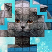 PicPu - Cat Picture Puzzle PC 용