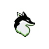 FOOTIX FOXES