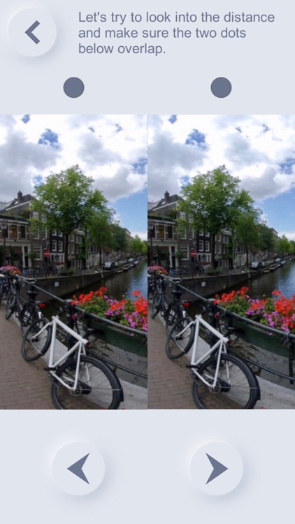 Stereogram Vision Training screenshot-3