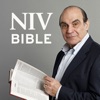 NIV Audio Bible: David Suchet