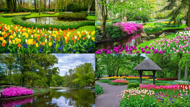 Tile Puzzle Keukenhof Garden