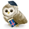 Icon MTL Learn Icelandic