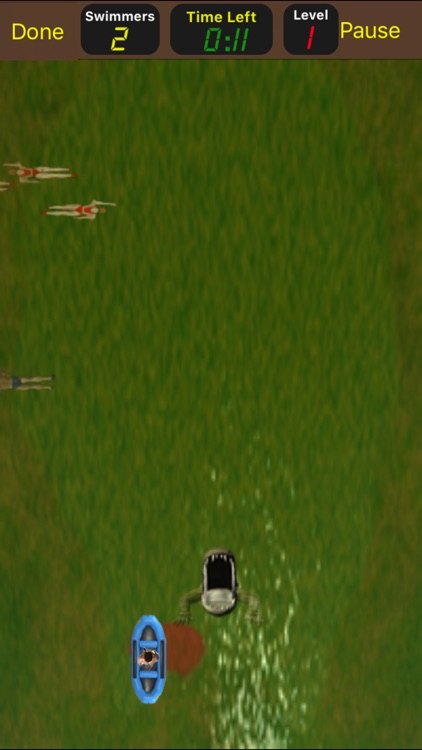 Swamp Gators