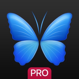 Everpix Pro Apple Watch App