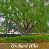 Orchard Hills Homes