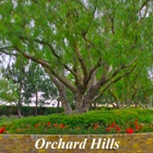 Top 30 Business Apps Like Orchard Hills Homes - Best Alternatives