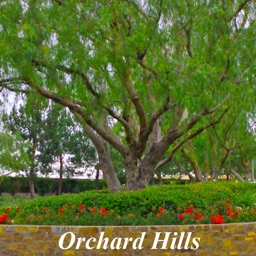 Orchard Hills Homes