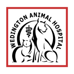 Wedington Animal Hospital