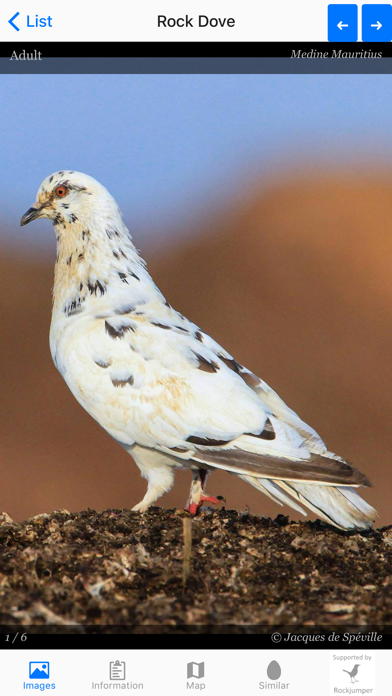 Birds of Mauritius screenshot 3