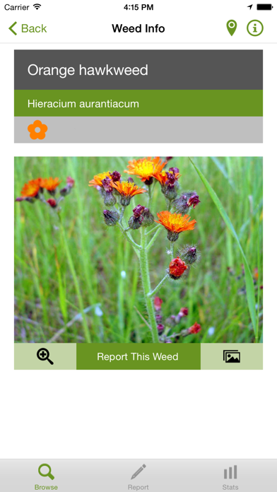 How to cancel & delete Report a Weed from iphone & ipad 3